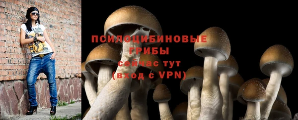 винт Богородск